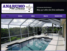 Tablet Screenshot of anarumopoolservicesfl.com